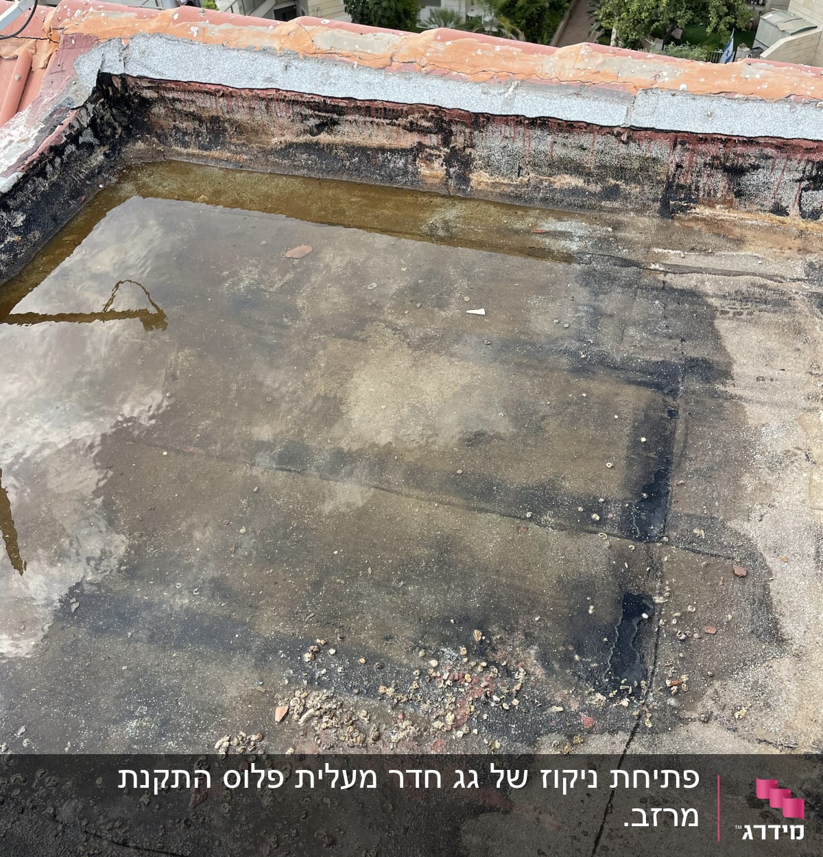 גג עם שלולית מים וסימני רטיבות